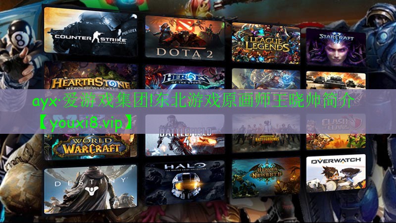 ayx·爱游戏集团!东北游戏原画师王晓帅简介