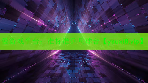 准标准乒乓球台 准标准乒乓球台
